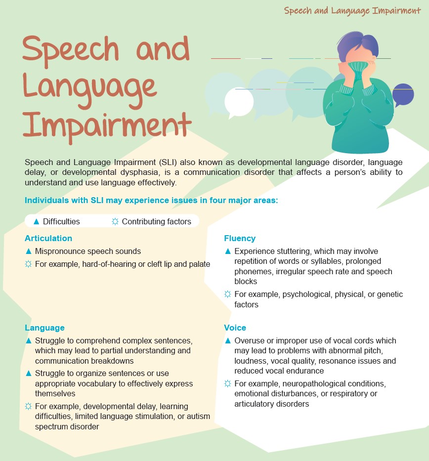 SLI Leaflet