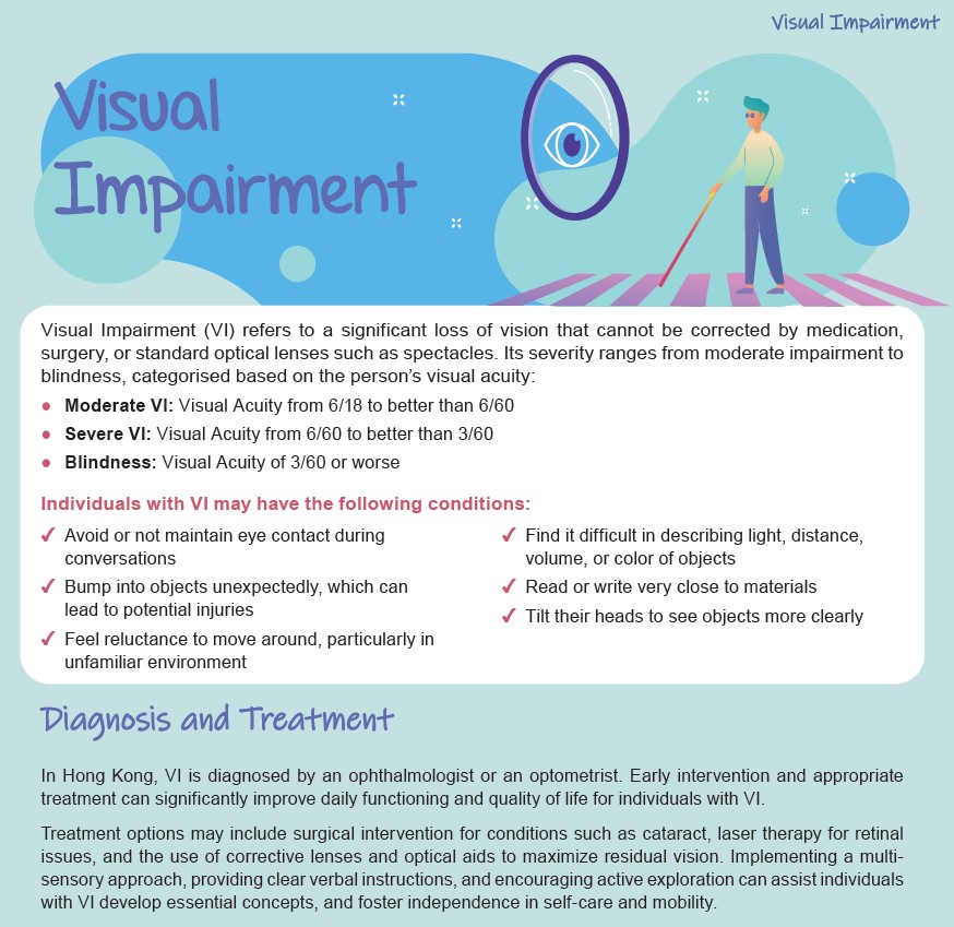 VI Leaflet
